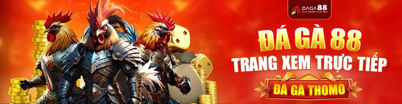 Sân đấu đá gà trực tuyến sôi động tại 88t đăng nhập