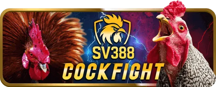 Ưu đãi đặc biệt cho các sự kiện thể thao lớn tại 88t